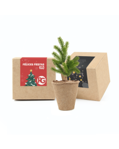 Arbol de navidad para plantar en cajita kraft