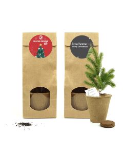 Arbolito de navidad para plantar en bolsita kraft