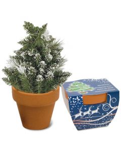 Kit cultivo de árbol de Navidad para plantar