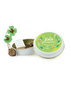 Kit ecológico tréboles 4 hojas en latita - Promoción Pascua