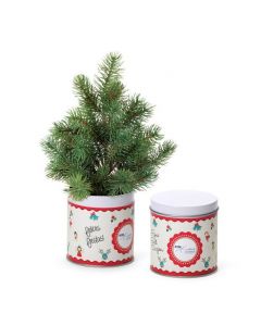 Kit árbol de navidad en lata personalizada