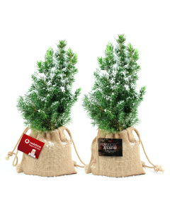 Mini abeto navidad para escritorio