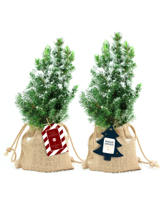Mini abeto navidad para escritorio