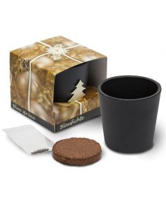 Semillas de abeto de Navidad en bote de cerámica