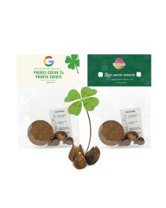 Trébol de cuatro hojas en bolsa de celofán