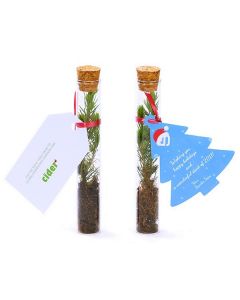 Tubo ensayo con un árbol NATURAL de navidad