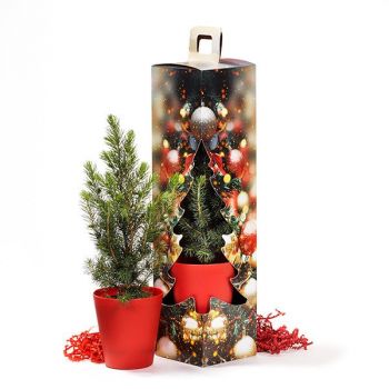 Árboles navideños en caja regalo