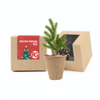 Arbol de navidad para plantar en cajita kraft