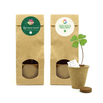 Bolsa kraft con kit tréboles 4 hojas