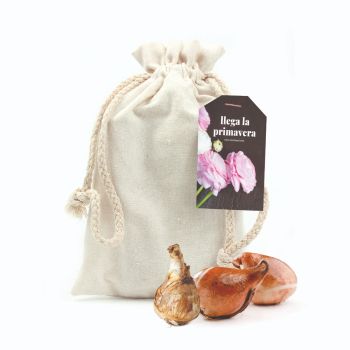 Bulbos de flores en saquito de rafia personalizado