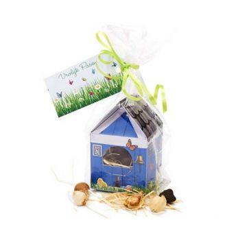 Casita primaveral con bulbos de flores