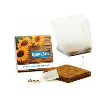 Cultivo girasoles ecológicos verano 