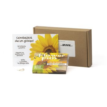 Cultivo girasoles en caja postal - envío a domicilio