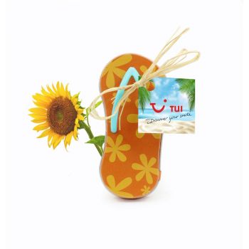 Cultivo semillas en mini chancleta metálica