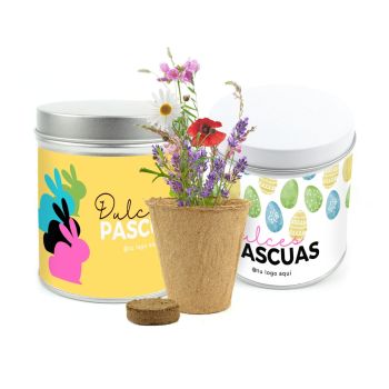 Kit cultivo flores Primavera - para pascua