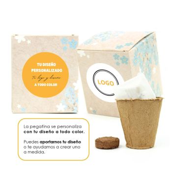 Kit de Flores No Me Olvides en Cajita Personalizada para San Valentín