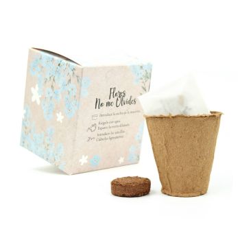 Kit de Flores No Me Olvides en Cajita Personalizada para San Valentín