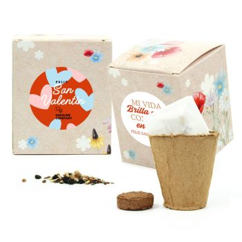 Kit de Mix de Flores en Cajita Personalizada para San Valentín