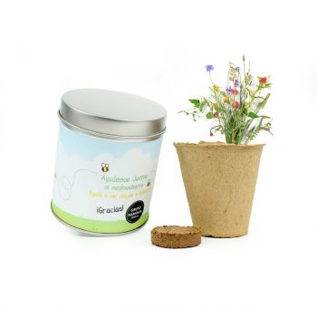 Kit cultivo Mix flores bee happy - Regalos verano