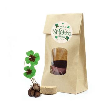 Kit cultivo tréboles bolsa kraft San Patricio