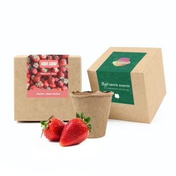 Kit de plantación en cajita personalizada