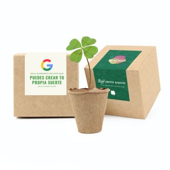 Kit de plantación en cajita personalizada