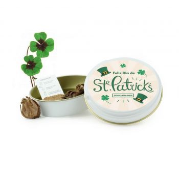 Latita cultivo tréboles Día San Patricio