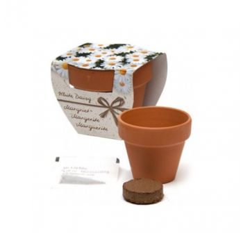 Margaritas con maceta