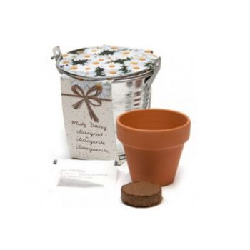 Margaritas en cubito metálico