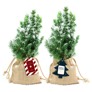 Mini abeto navidad para escritorio