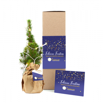 Mini árbol de Navidad en caja postal
