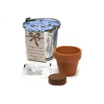 No me olvides en cubito metálico