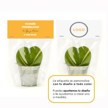 Plantita corazón para San Valentín