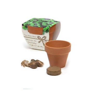 Trébol de cuatro hojas con maceta