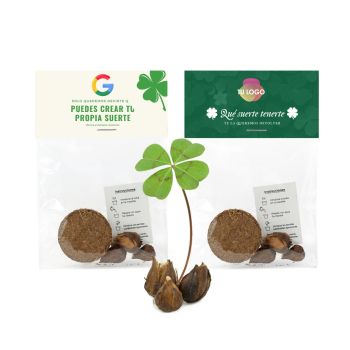 Trébol de cuatro hojas en bolsa de celofán