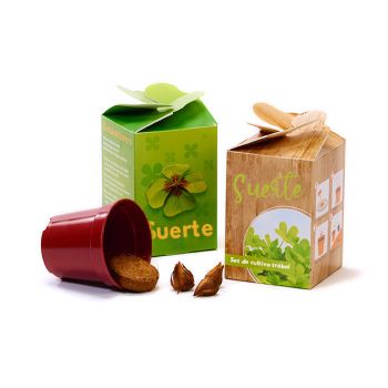 Trébol de cuatro hojas en cajita personalizada