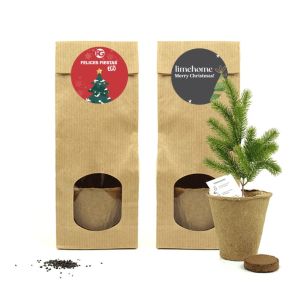 Arbolito de navidad para plantar en bolsita kraft