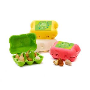 Bulbos flores primavera en mini huevera