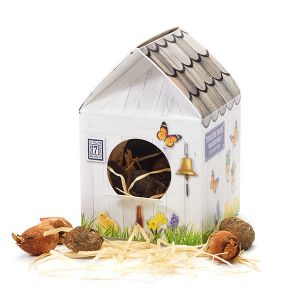 Casita pajaritos bulbos de flores-Día de la Madre