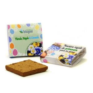 Flores comestibles de verano