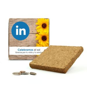 Kit de plantación girasoles promocional 