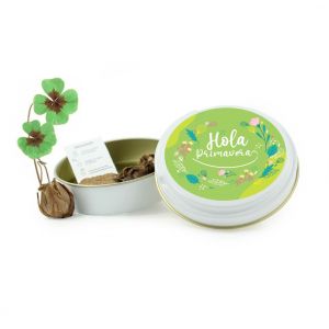 Kit ecológico tréboles 4 hojas en latita - Promoción Pascua