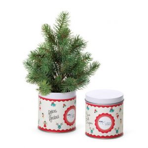 Kit árbol de navidad en lata personalizada