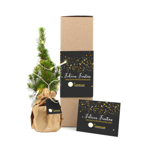 Mini árbol de Navidad en caja postal