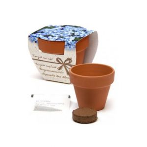 No me olvides con maceta