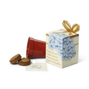 No me olvides en cajita personalizada