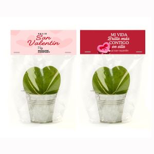 Plantita corazón para San Valentín